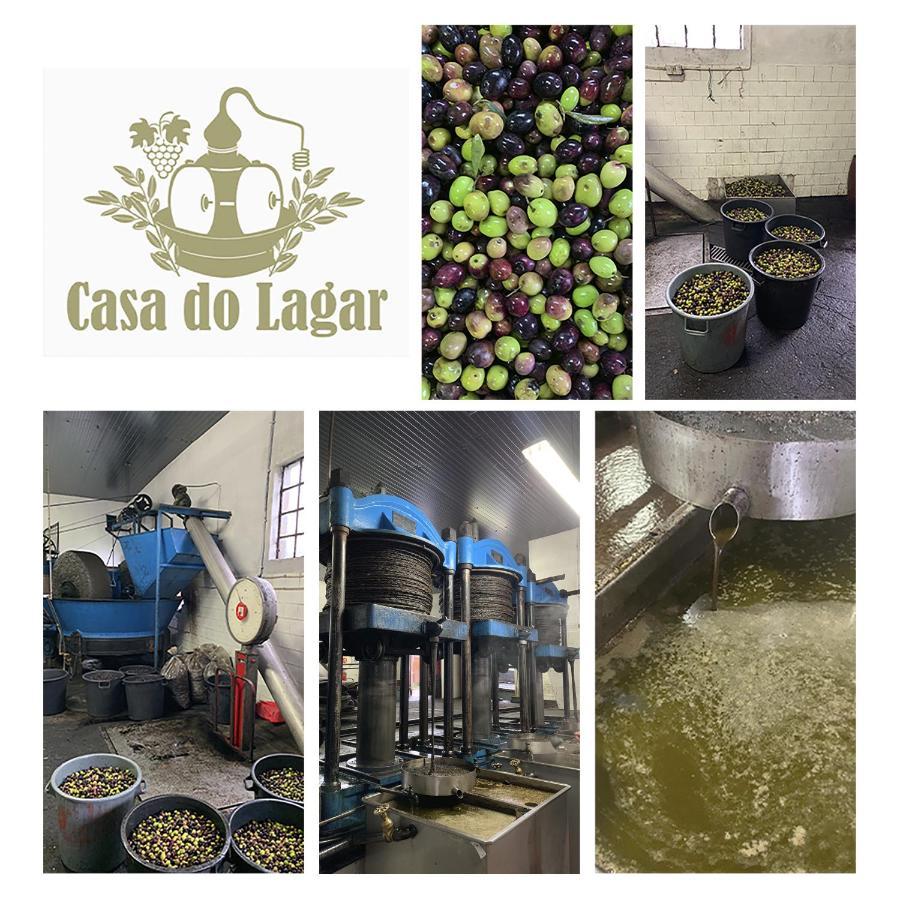 Vila Casa Do Lagar Agilde Exteriér fotografie